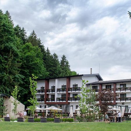 Piatra Pinului Ski & Spa Hotel Gura Humorului Bagian luar foto